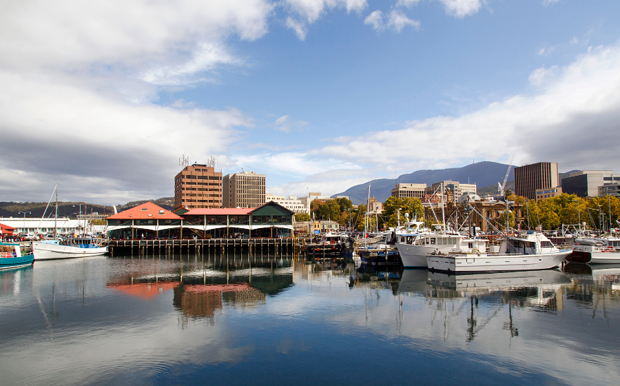 Tổng quan về đại học Tasmania