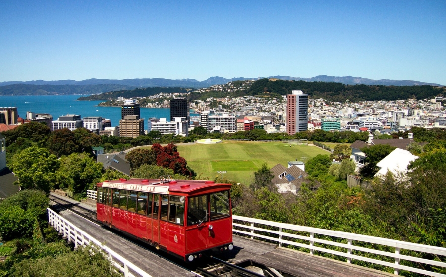 Chương trình đào tạo tại đại học Victoria University of Wellington